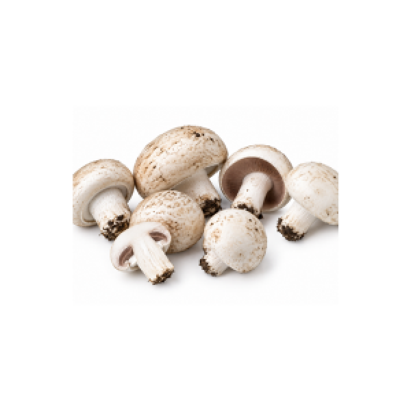 Mushrooms tray 2.25kg